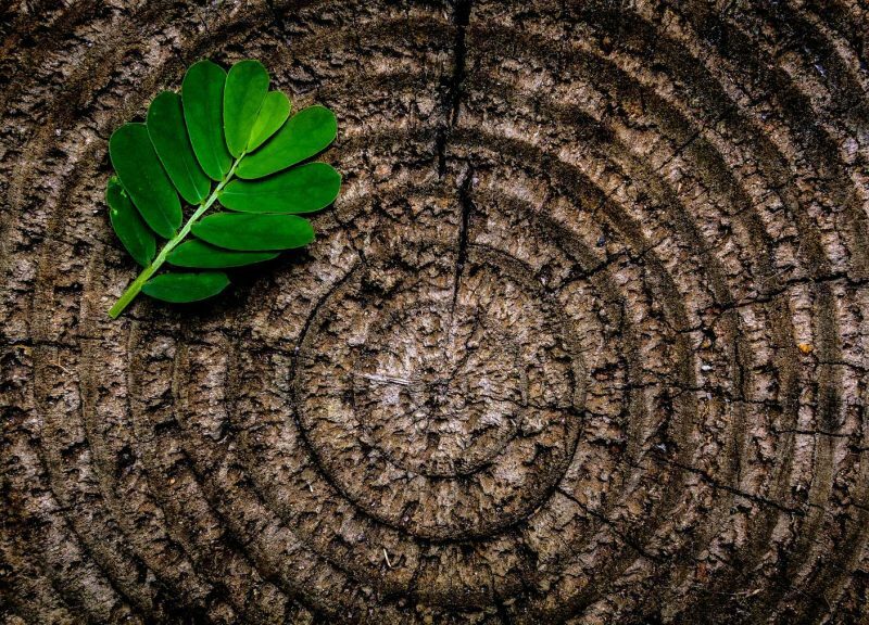 Growing significance of the employer brand