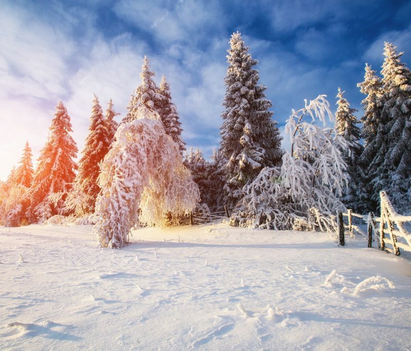 Hottest startups in Finland - we are one of them
